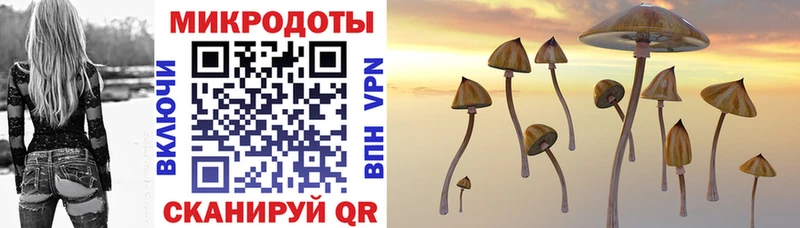 Псилоцибиновые грибы Cubensis  магазин    Белореченск 